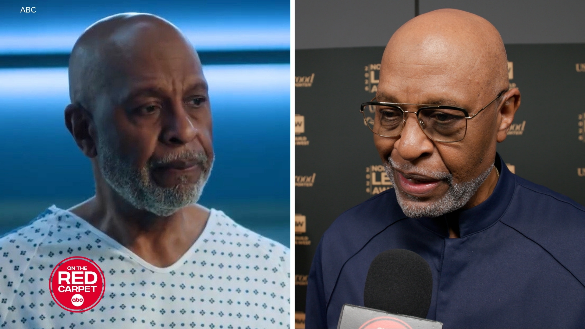 How 'Grey's Anatomy' star James Pickens Jr. inspired award-winning episodes
       — ABC7 Chicago (WLS-TV)